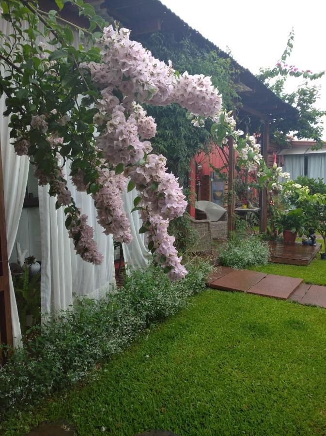 Pousada Charme E Estilo Nova Petropolis Eksteriør bilde